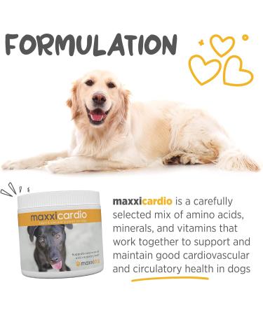 maxxipaws maxxicardio Heart and Cardiovascular Supplement for Dogs Powder 150 g 150 g (Pack of 1) - Buy Online on GoSupps.com