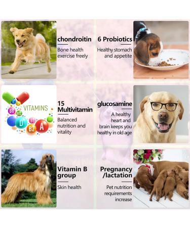 15-in-1 Multivitamin Vitamins Supplements for Dogs Hip and Joint Skin Coat Skin Health Gut Health Heart Health for Small Medium and Large Dogs 150 Chews with Duck Flavour - Buy Online on GoSupps.com