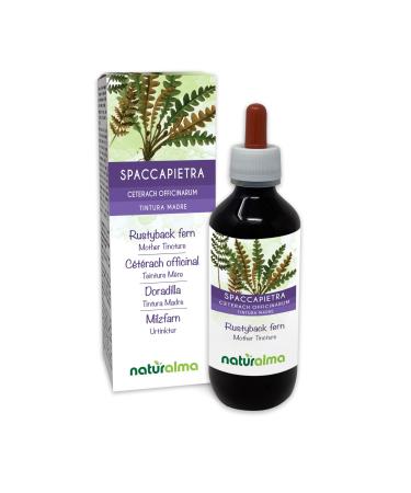 Spleen fern (Ceterach officinarum or Asplenium ceterach) leaves alcohol-free mother tincture Naturalma | Liquid extract drops 200 ml | Dietary supplement | Vegan alcohol-free 200 ml (1 pack)