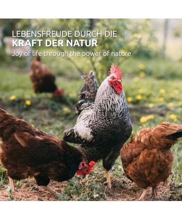 AniForte WermiX Powder for Chickens Geese Ducks and Large Birds 20g - Natural Product Before During and After Worm Infestation and Deworming - Buy Online on GoSupps.com