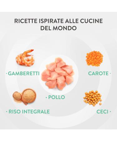 Schesir Taste The World Thai Coconut Chicken Flavor Complete Wet Food for Dogs (8 x 150g cans) - Buy Online on GoSupps.com