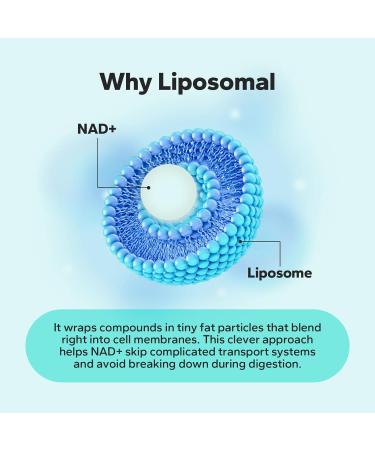 NaturaNex NAD+ Supplement 650mg (60 Capsules) Liposomal NAD+ with Resveratrol & Quercetin Third-Party Tested NMN Supplement Alternative - Buy Online on GoSupps.com