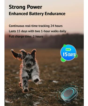 Aorkuler GPS Dog Tracker Pet Tracker No Monthly Fee No Subscription Dog Tracker Without Cellular Networks Real-Time Tracking Device for Dog and Pets Dog Tracker Without Mobile Phones Dog Gps Tracker - Buy Online on GoSupps.com