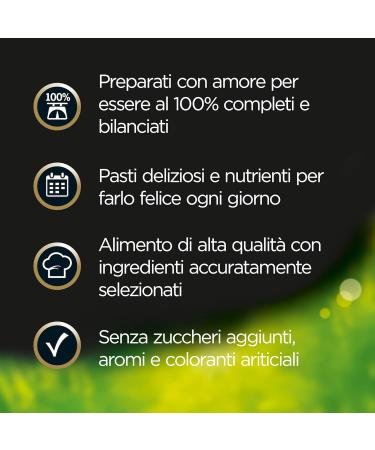 Cesar Garden Selections Dog Food Assorted Selection 150 g 24 tubs - 3600 g - Buy Online on GoSupps.com