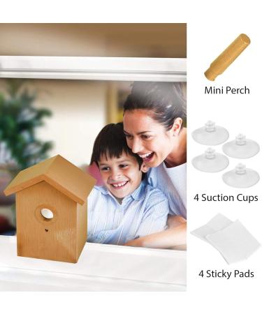 ASAB Wild Bird Watching Nesting Box Set | Birdhouse Kit with Spy Window and One Way Mirror Foil | Plastic Robin House with Wood Looking Design - Buy Online on GoSupps.com