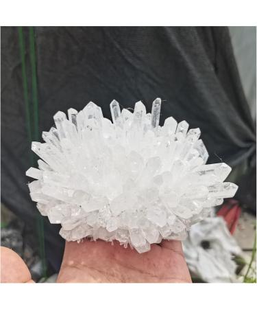 Natural Crystal Rough Natural Crystals Clear Quartz Cluster Freeform Reiki Stones Room Home Office Aquarium Decoration Accessories Gemstone Decoration (Size : 400-500g) - Buy Online on GoSupps.com