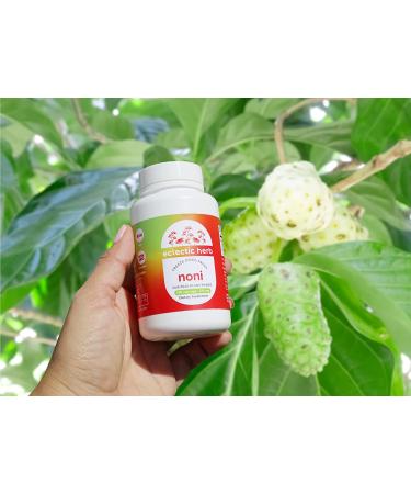 Eclectic Institute Raw Fresh Freeze-Dried Noni 375 mg - 100 Non-GMO Veg Caps | Best Price - Buy Online on GoSupps.com