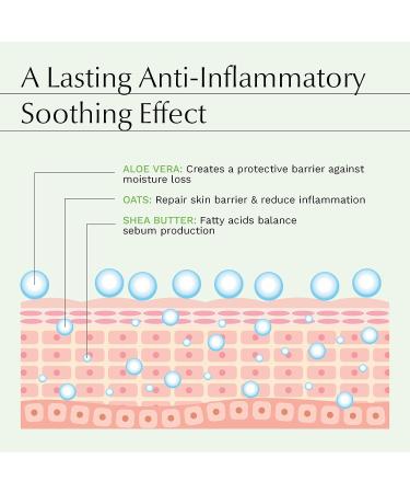 Tea Tree Body Wash - 5% Australian Tea Tree Oil & Aloe Vera - Acne Fighting & Hydrating Formula - Buy Online on GoSupps.com