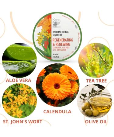 BenePura Calendula Ointment - Natural Healing Cream for Burns, Cuts, Scrapes and Wounds - 1.35 fl. Oz - Buy Online on GoSupps.com