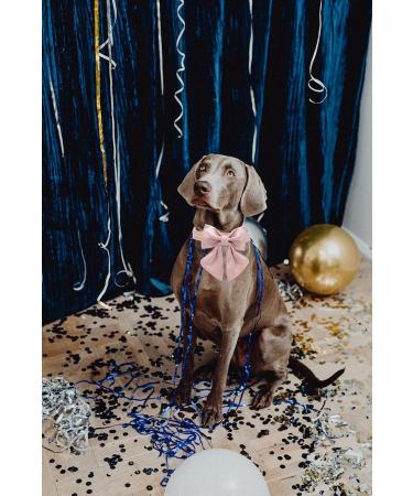 Unique Pink Silk Dog Halter - Durable & Stylish Wedding Band for Large Dogs - Buy Online on GoSupps.com