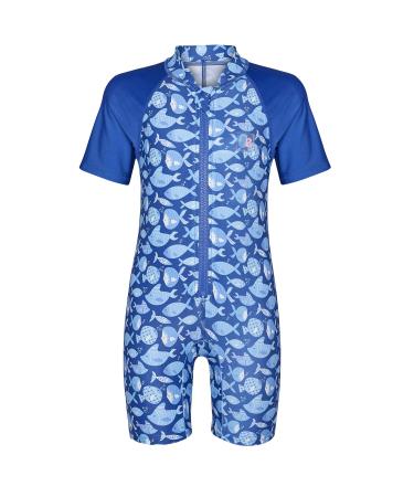 Juicy Bumbles Baby Swimsuit - One Piece Baby Swimming Costume - Short Sleeve Toddler Swimming Costume - Baby Girl Swimsuit - Baby Boy Swimsuit - Girls and Boys Swimming Costume (6 Months - 5 Years) 4-5 Years Fish