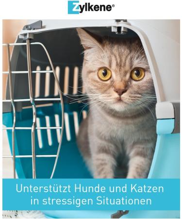 Vetoquinol Zylkene for Dogs & Cats up to 10kg - 30 Capsules | Premium Calming Supplement - International Shipping Available - Buy Online on GoSupps.com