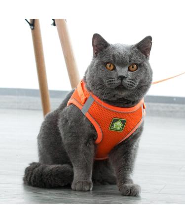 Buy Zhenle Adjustable Cat Harness for Small Animals - Perfect Fit & Comfort for Cats (M) - International Shipping Available - Buy Online on GoSupps.com