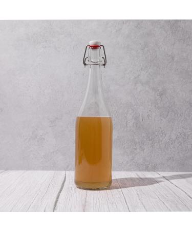 Kombucha Full Starter Kit With Blighty Baby SCOBY - Make your own Kombucha at home - Buy Online on GoSupps.com