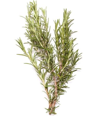 Bondi Wash - Mist Spray - Sydney Pepermint & Rosemary - Buy Online on GoSupps.com