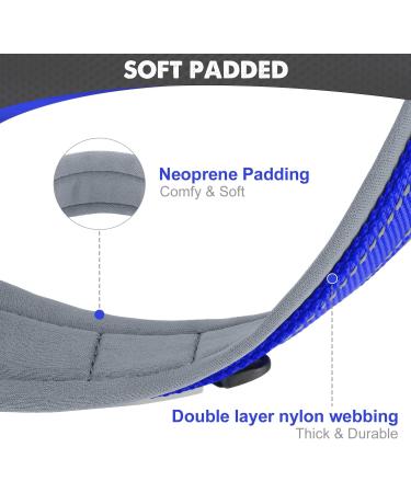 Buy Joytale Royal Blue Dog Collar - Softly Padded Neoprene for Medium Dogs | Nylon Reflective Wide Design - 1 Pack - Buy Online on GoSupps.com
