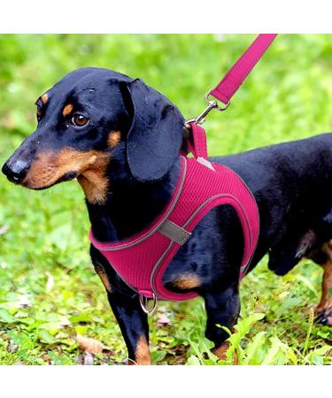 Joyal Dog Harness - Reflective Soft Padded Air-Mesh for Small & Medium Dogs | Bright Pink M (42-47cm) - Shop Now! - Buy Online on GoSupps.com