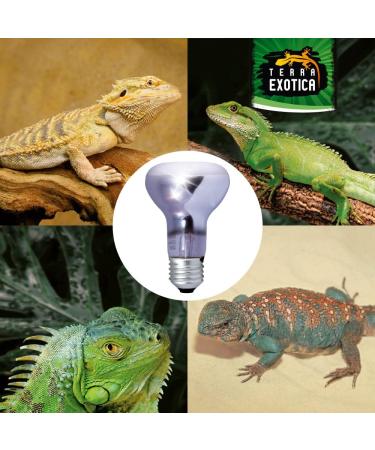 Terra Exotica Neo Spot - UV Reflector Spotlight for Terrariums (25W) | Ideal Heat & Light Source for Inhabitants - Ships Internationally - Buy Online on GoSupps.com