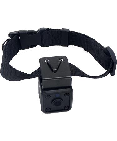 Pet Collar Camera DVR with 16GB TF Card - Black | Monitor & Record Your Dog's Adventures - Buy Online on GoSupps.com