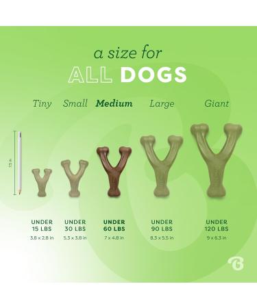 Benebone Wishbone Real Peanuts Medium Durable Dog Chew Toy for Aggressive Chewers | International Shipping Available - Buy Online on GoSupps.com