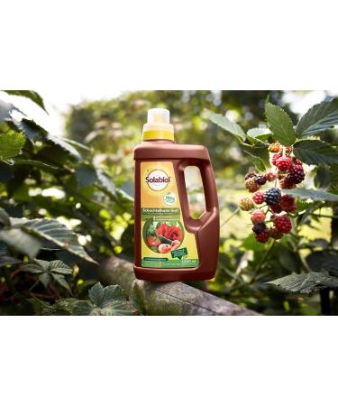 Solabiol Schachtelhalm Sud - Biological Plant Strengthener for Mushrooms | 1L Eco-Friendly Solution - Buy Online on GoSupps.com