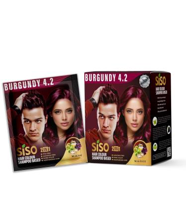 Siso Permanent Hair Colour 40ml Burgundy 4.2 - No Bleaching No Ammonia | Moisturizing | Long Lasting Hair Color for Women and Men | Salon Perfection (Pack of 10)