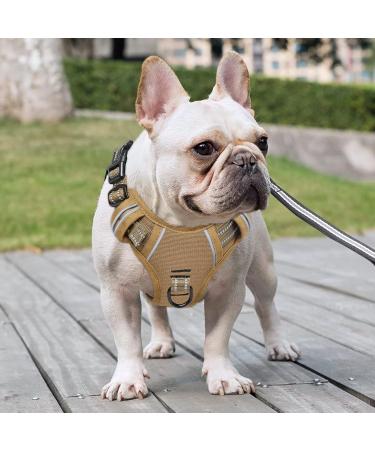 Shop Heele Dog Crockery & Adjustable Harness for Small/Mid-Sized Dogs - Breathable & Reflective XS Brown - Buy Online on GoSupps.com