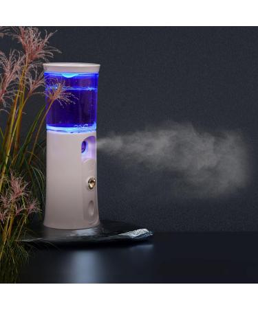 Outanaya 1 Set Hydrating Instrument Hand Held Sprayer Face Sprayer Portable Face Steamer White Abs - Buy Online on GoSupps.com