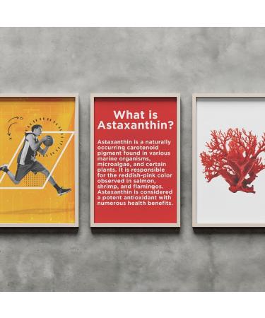 Plant Based Astaxanthin 4 mg Supplement I 60 Veg Capsules I Supports Eye Joint & Skin Health I Boosts Immune System I for Both Men & Women - Buy Online on GoSupps.com