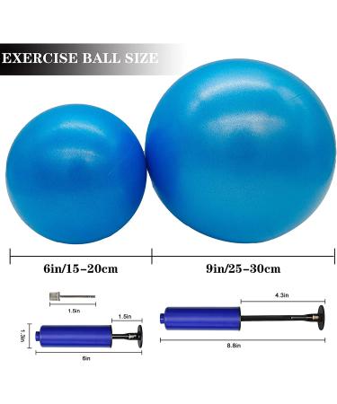 QISHOP Mini Pilates Exercise Ball 6 inch with Pump - Pink Small Bender Ball for Yoga, Core Training, Physical Therapy - Improve Balance at Home, Gym, Office - Buy Online on GoSupps.com