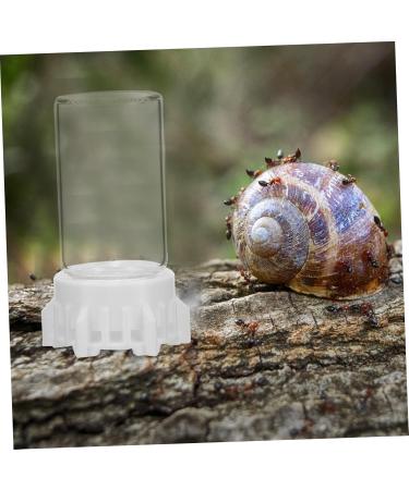 Yardwe Ant Water Dispenser - Ideal for Ant Nests & Feeding | 6.00x3.70x3.70cm | International Shipping - Buy Online on GoSupps.com