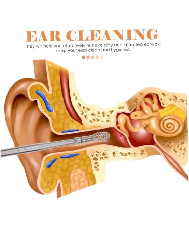 Hemoton 3-Piece Ear Cleaning Tool Set with Case and Scoop - Portable Outdoor Ear Care Kit for Personal Hygiene - Includes Earwax Spiral, Earbuds, and Cleaner - Buy Online on GoSupps.com