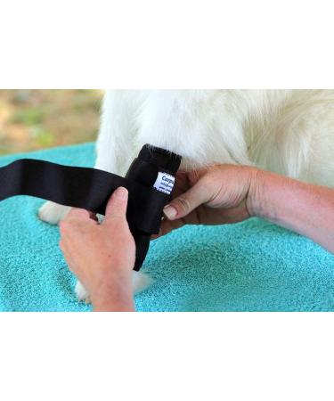 NATURE PET Premium - Dog Carpal Splint/Dog Brace/Front Legs - Grey - XL - Buy Online on GoSupps.com