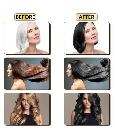 Black Hair Dye Shampoo 3 in 1 for Men & Women - Natural Gray Hair Coverage | 16.9 Fl Oz (500ML - Buy Online on GoSupps.com