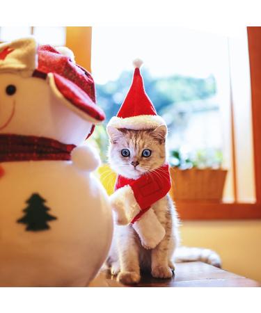 Pet Leso Red Christmas Hat for Cats & Dogs | Festive Holiday Accessory for Pets - Buy Online on GoSupps.com