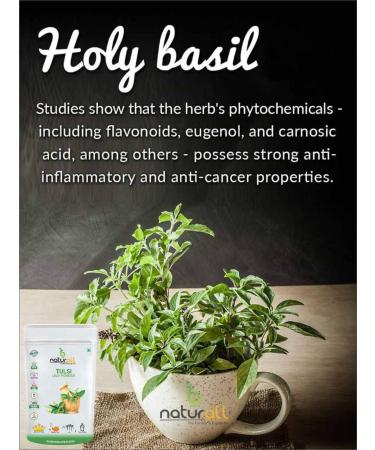 CROW Tulsi Leaf PowderHoly Basil Leaf Powder 500 GM by B Naturall - Buy Online on GoSupps.com