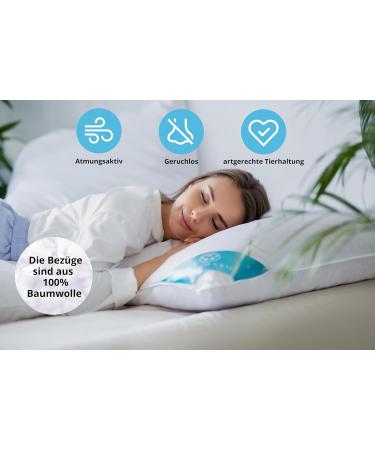 Buy Sandaro Home Seating - 80x80 Down Springs Cushion Set | 100% Natural Cotton | Ultra Comfort & Eco-Tex Certified - Buy Online on GoSupps.com