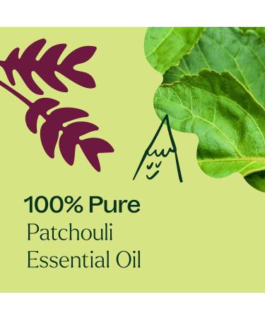 Buy 100% Pure Patchouli Essential Oil | Therapeutic Grade Aromatherapy | Plant Therapy 100 mL - Buy Online on GoSupps.com