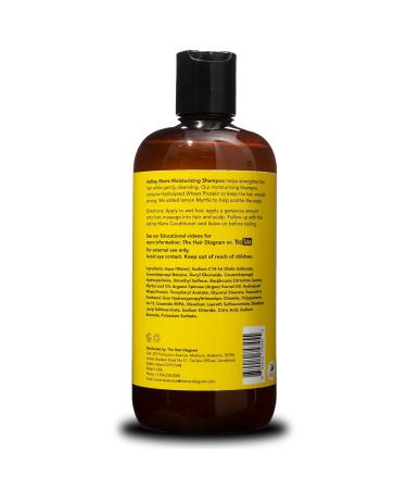 Ashley Marie Moisturizing Shampoo - Natural Cleansing & Strengthening Paraben & Sulfate Free 12oz | The Hair Diagram - Color Safe & Restorative - Buy Online on GoSupps.com