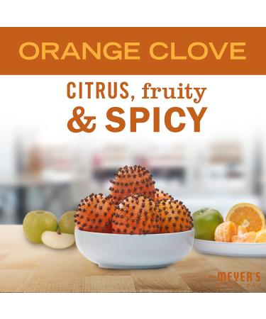 MRS. MEYER'S CLEAN DAY Liquid Dish Soap - Biodegradable Orange Clove Limited Edition 16 oz | Eco-Friendly Dishwashing Solution for International Shipping - Buy Online on GoSupps.com