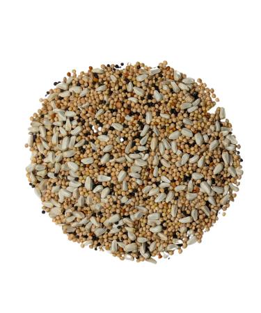 For Everybirdy Anti-Squirrel Wild Bird Seed Mix 4kg (8.8lbs)