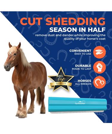 Equigroomer Large 9 Grooming Tool for Horses - Turquoise | Shed Less with Getaway Solids - International Shipping Available - Buy Online on GoSupps.com