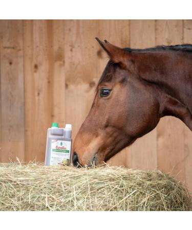 Ewalia Vital Intestinal Juice - Premium Dietary Supplement for Horses to Support Gut Health - Natural Stabilization of Gut Flora with the Strength of Herbs - - Buy Online on GoSupps.com
