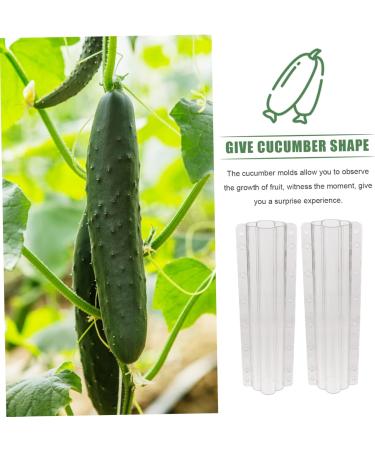Milisten Garden Fruit Mould 2pcs Vegetable Shaping Mold Cucumbers Cucumber Shaping Mold Vegetable Shaper Mold Planting Supplies - Buy Online on GoSupps.com