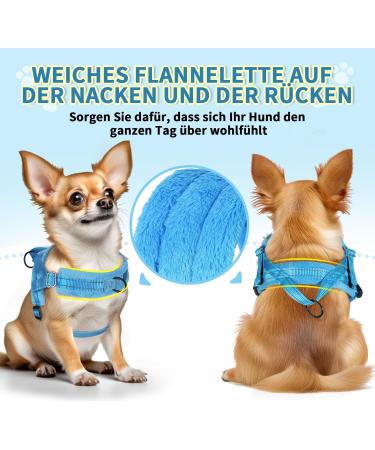 Eyein No-Pull Dog Harness with Leash | Padded & Adjustable for All Breeds | Reflective Design | Soft Dishes for Puppies Small & Large Dogs | Blue-Green XXS - Buy Online on GoSupps.com