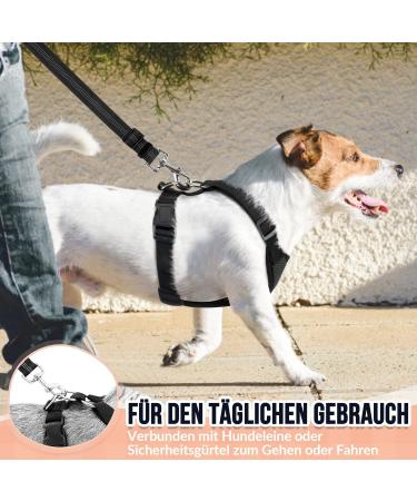 Buy Slowton No Pull Dog Harness - Soft Padded & Breathable for Small to Medium Dogs - XXXS Black - International Shipping Available - Buy Online on GoSupps.com