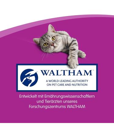 Buy Whiskas Sticks Rich in Salmon - 14 x 6 Pieces | Premium Cat Treats for International Shipping - Buy Online on GoSupps.com