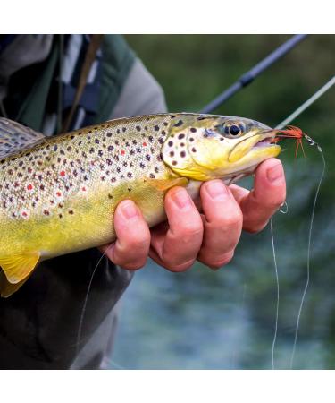 Goture Fly Fishing Kit - 100PCs Bait with Box | Best Fly Fishing Range for Bass Trout Salmon | Dry Flies Streamers & Nymphs - B-76PCs - Buy Online on GoSupps.com