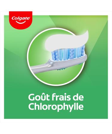 Colgate Intense Freshness Chlorophyll Toothpaste - 96% natural ingredients - Effective protection against cavities and plaque - pack of 12 x 75 ml - Buy Online on GoSupps.com