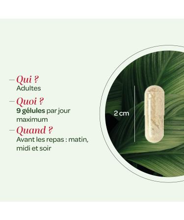 SUPERDIET ORGANIC MILK THISTLE - Liver protection Herbal medicine Made in France 90 capsules - Buy Online on GoSupps.com